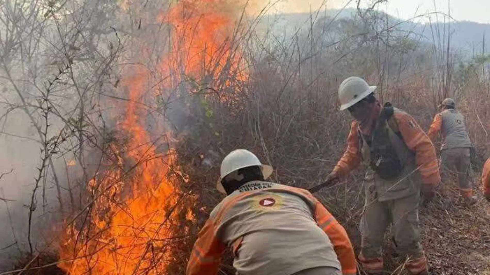 Incendios forestales2